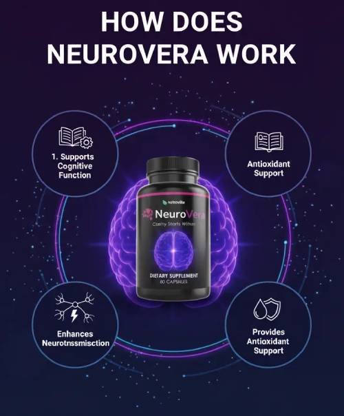 How NeuroVera works to support memory, focus, and brain health naturally