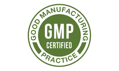 GMP certified manufacturing standards for NeuroVera brain support supplement